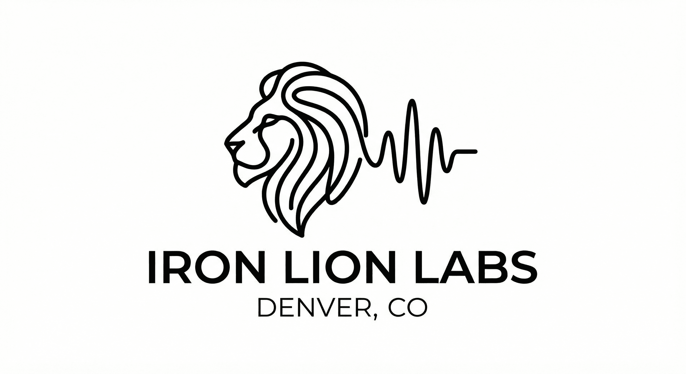Iron Lion Labs